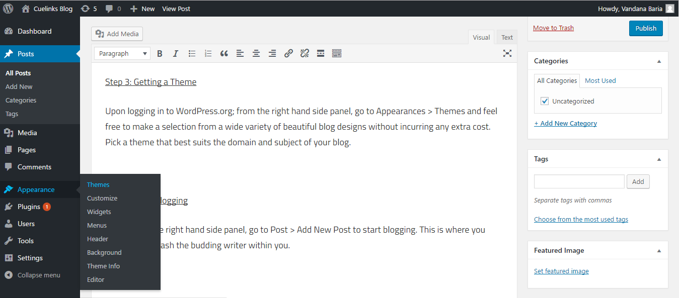 set up a blog with wordpress