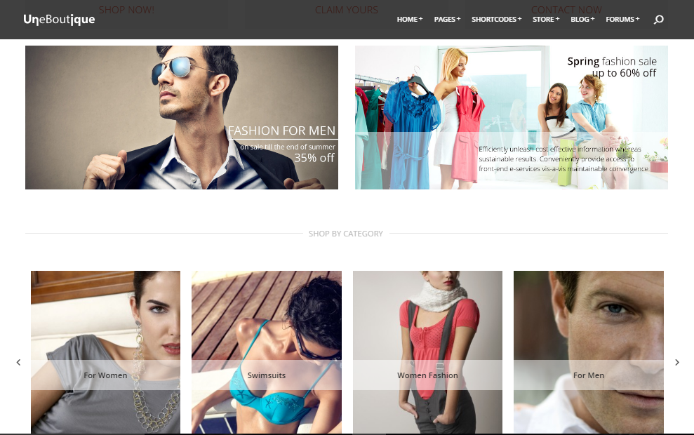 best wordpress themes