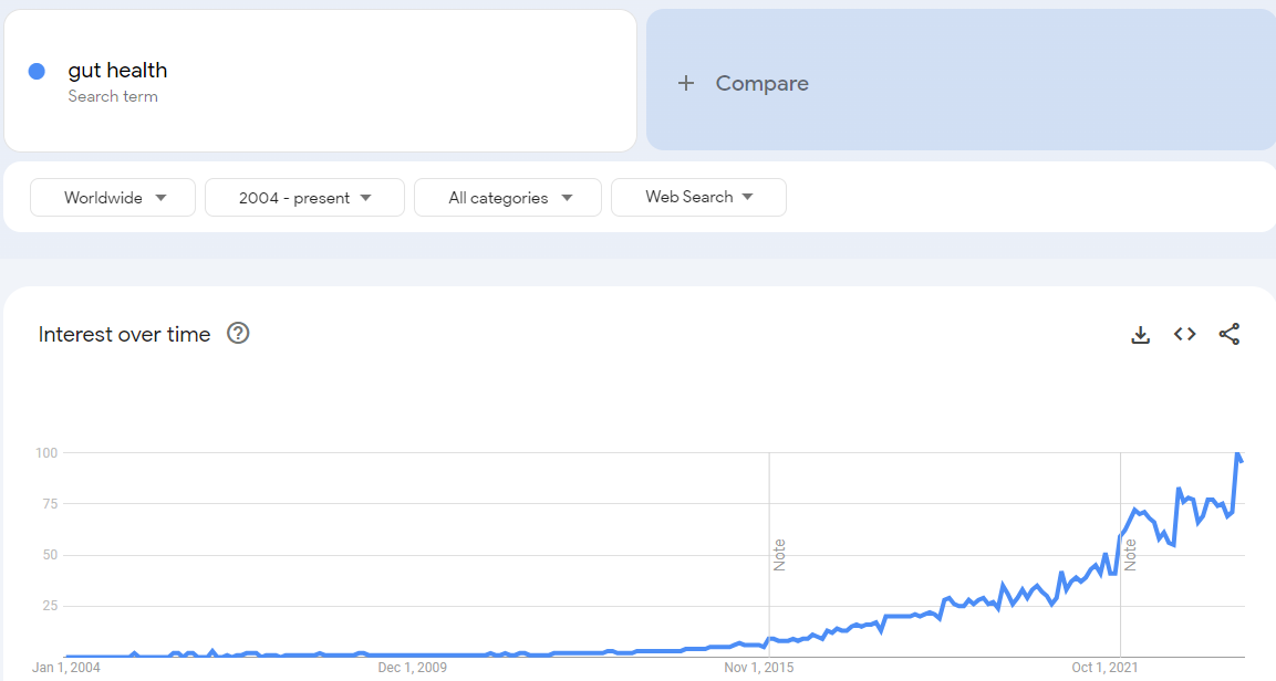 Gut Health Blog: Best Profitable Niche with Low Competiton